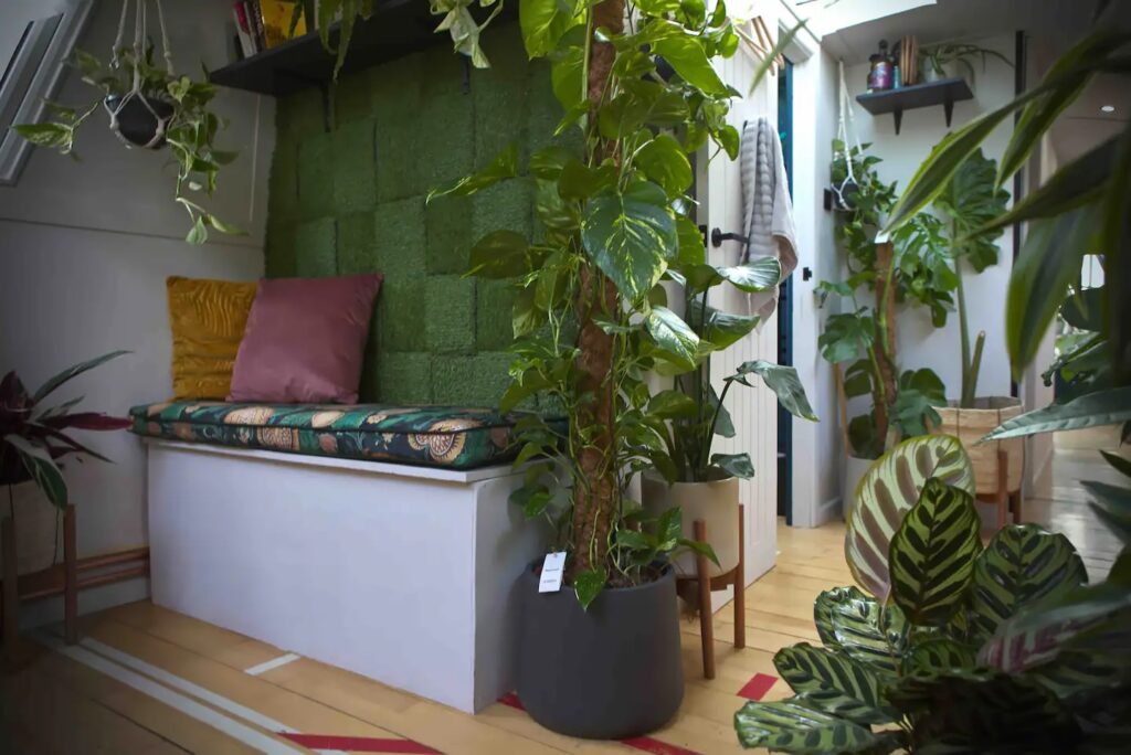 Experience nature like never before on a 'terrarium boat' in Hackney, London. This eco-friendly, plant-filled oasis boasts 150 houseplants, solar panels, and a serene canal setting for £250 a night.