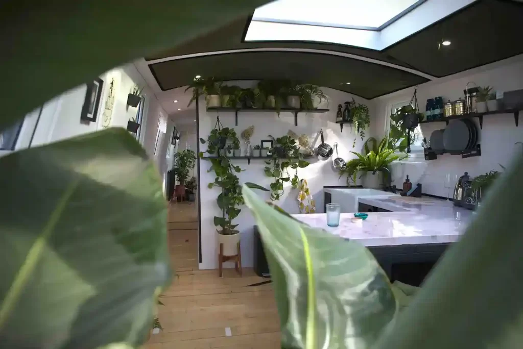 Experience nature like never before on a 'terrarium boat' in Hackney, London. This eco-friendly, plant-filled oasis boasts 150 houseplants, solar panels, and a serene canal setting for £250 a night.